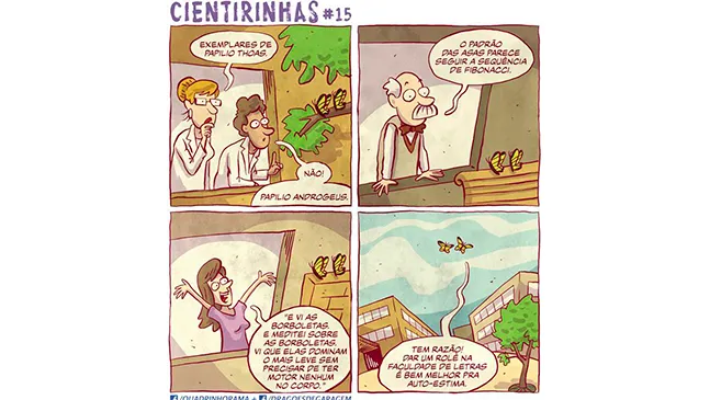 Segundo quadrante da espiral, o ensino da ciência