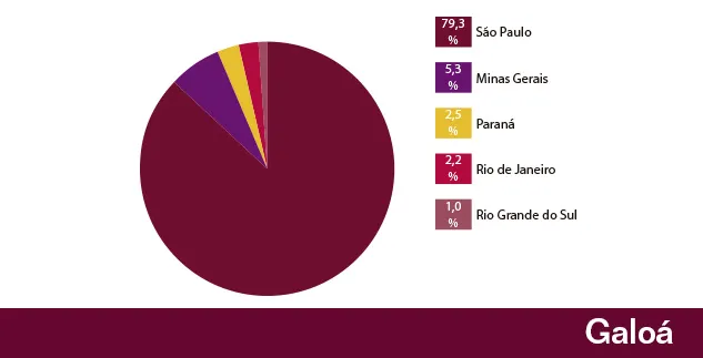 gráfico mostradon dom 793 dos acessos vêm de sp